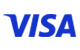 Visa, lider u digitalnim plaćanjima